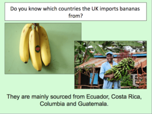 Is the banana trade fair- - cover image 1