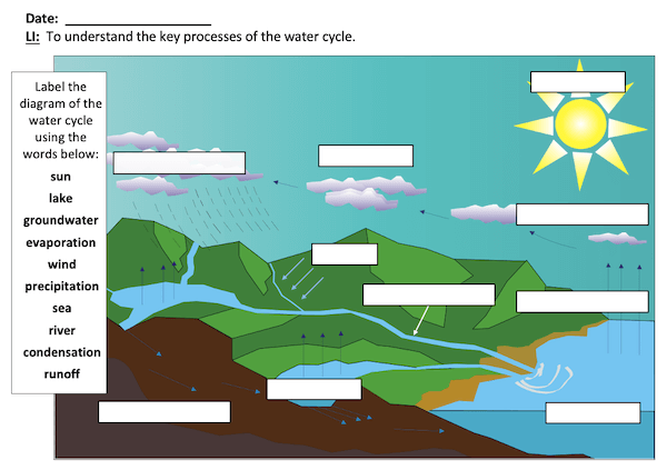 Understanding the water cycle - activity - easier