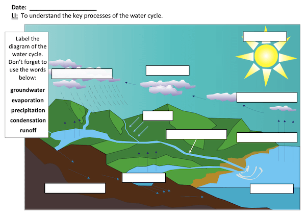 Understanding the water cycle - activity - medium