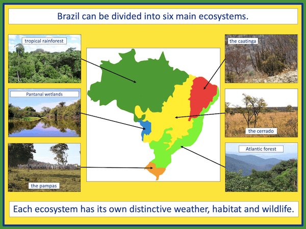 Exploring Brazil's ecosystems - presentation 2