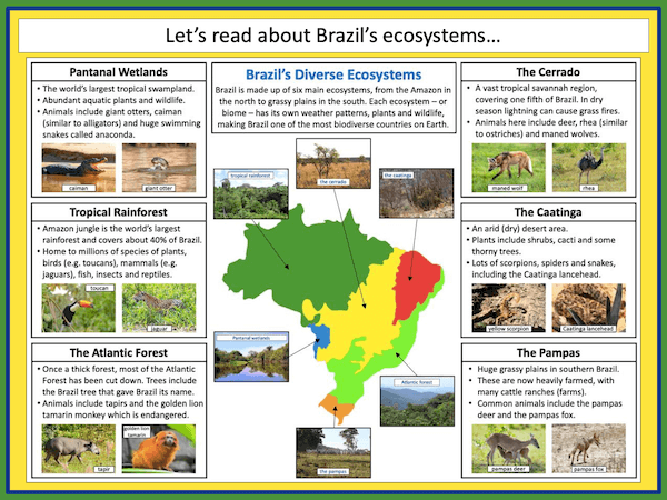 Exploring Brazil's ecosystems - presentation 3