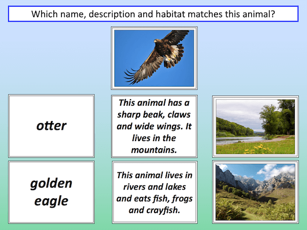 Matching animals to their habitat - cover image 3