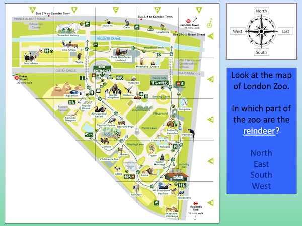 Using compass directions at London Zoo - cover image 3