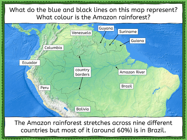 Exploring the Amazon rainforest - presentation 8
