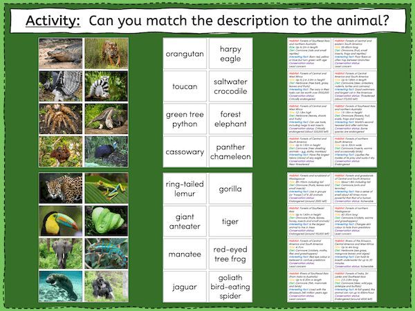 Identifying tropical rainforest animals - presentation 5