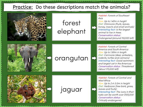 Identifying tropical rainforest animals - presentation 6