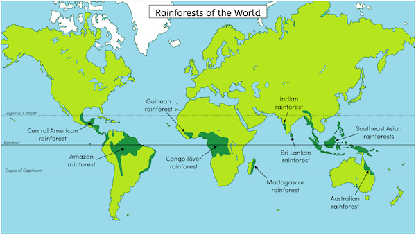 Locating tropical rainforests on a world map - activity - prompt map