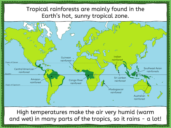 Locating tropical rainforests on a world map - presentation 4