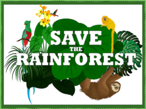 Thinking of ways to help save tropical rainforests - cover image