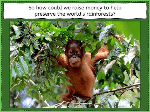 Thinking of ways to help save tropical rainforests - presentation 5