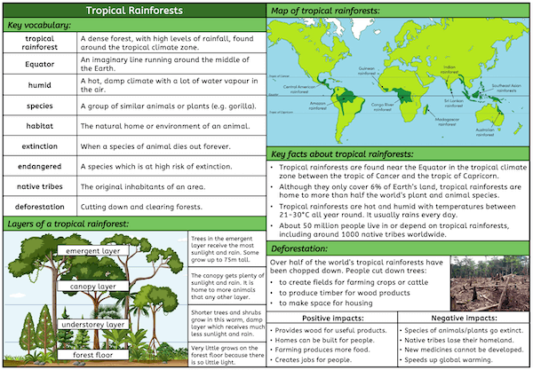 Tropical Rainforests - KS2 - Knowledge Organiser - plain