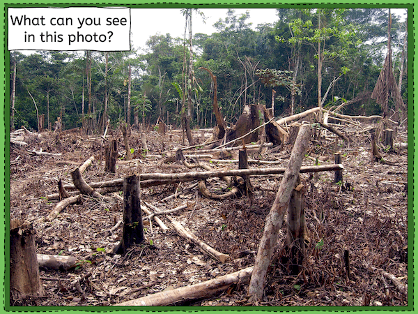 Understanding the impact of deforestation in the Amazon - presentation 2