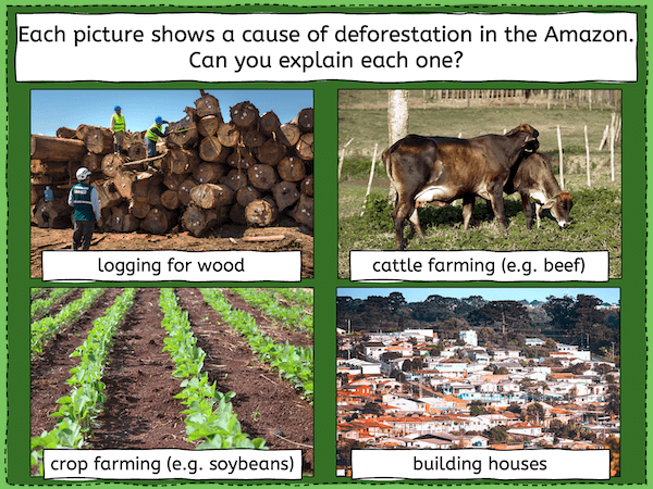 Understanding the impact of deforestation in the Amazon - presentation 4